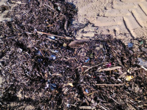 basura marina en las playas LEMA