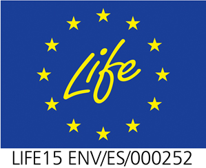 logo life lema